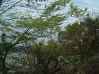  dscf0572.jpg 