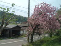  dscf0575.jpg 