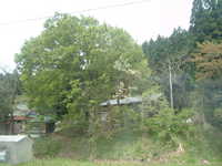  dscf0579.jpg 
