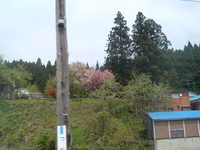  dscf0580.jpg 