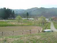  dscf0587.jpg 