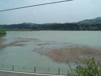  dscf0590.jpg 