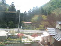  dscf0594.jpg 