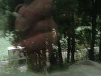  dscf0601.jpg 