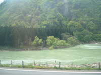  dscf0614.jpg 