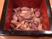  dscf0630.jpg 