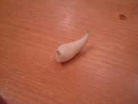  dscf0631.jpg 