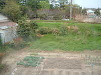  dscf0684.jpg 