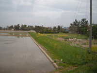  dscf0698.jpg 