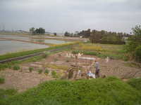  dscf0699.jpg 