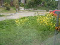  dscf0700.jpg 