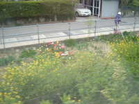  dscf0707.jpg 