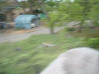  dscf0711.jpg 