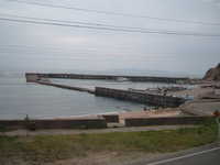 dscf0731.jpg 