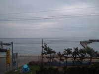  dscf0732.jpg 