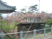  dscf0746.jpg 