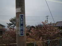  dscf0748.jpg 