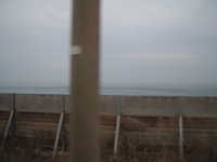  dscf0763.jpg 