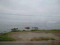  dscf0767.jpg 