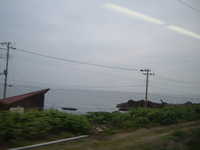  dscf0768.jpg 
