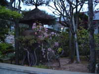  dscf0796.jpg 