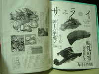  dscf0857.jpg 