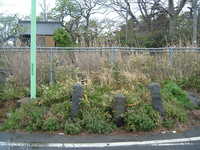  dscf0896.jpg 
