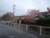  dscf0899.jpg 