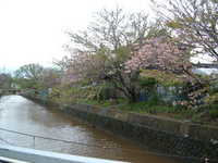  dscf0901.jpg 