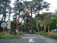  dscf0904.jpg 