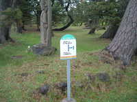 dscf0906.jpg 
