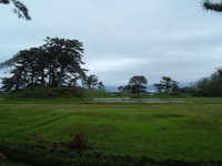  dscf0916.jpg 