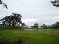  dscf0917.jpg 