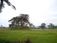  dscf0918.jpg 