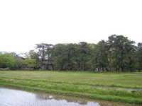  dscf0920.jpg 
