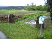  dscf0921.jpg 