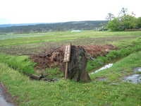  dscf0922.jpg 