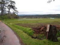  dscf0923.jpg 