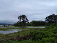  dscf0927.jpg 