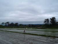  dscf0928.jpg 