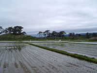 dscf0929.jpg 