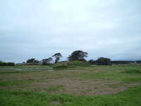  dscf0930.jpg 