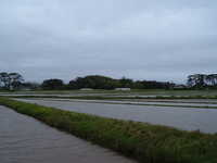  dscf0931.jpg 