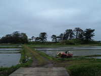  dscf0932.jpg 
