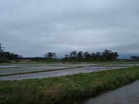  dscf0933.jpg 