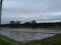  dscf0934.jpg 
