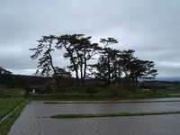  dscf0935.jpg 