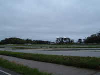  dscf0937.jpg 