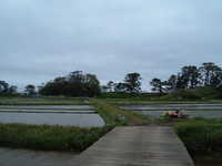  dscf0938.jpg 