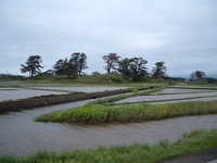  dscf0940.jpg 